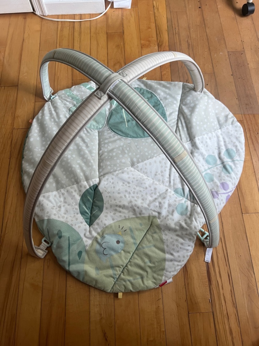 Soft Green Baby Play Mat with Overhead Arch